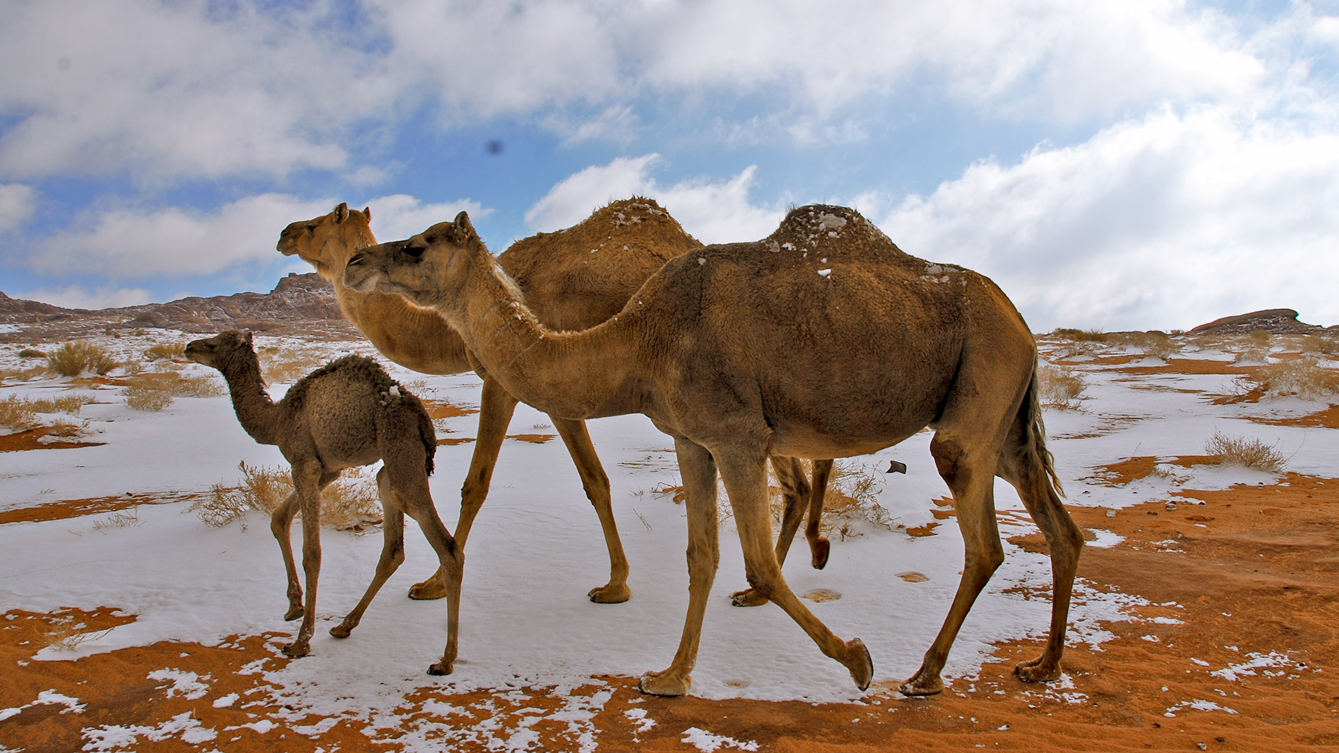 tabuk_break_free_landing_page_winter_campaign_1920x1080_7