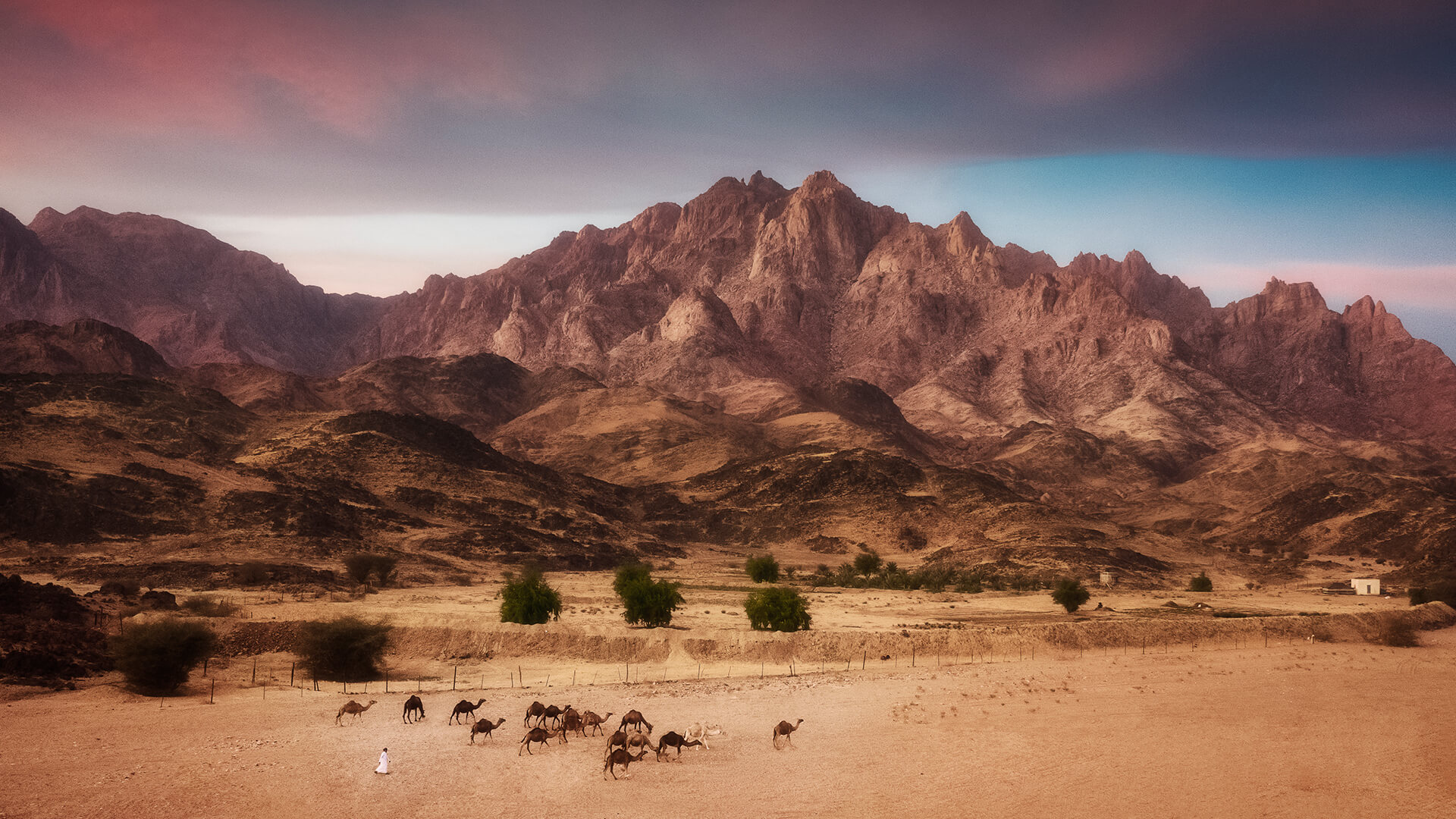 yanbu_hero_desktop